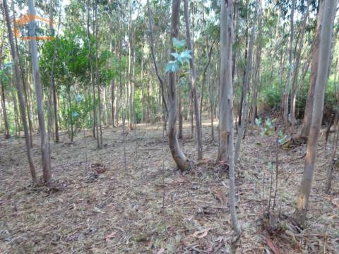 Terreno com 2.200 m2 para construção de uma moradia de 4 frentes em Perosinho e Seixezelo