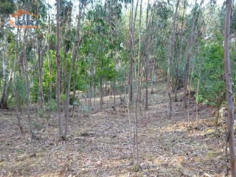 Terreno com 2.200 m2 para construção de uma moradia de 4 frentes em Perosinho e Seixezelo