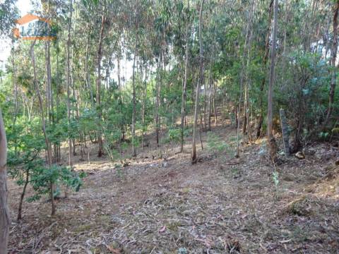 Terreno com 2.200 m2 para construção de uma moradia de 4 frentes em Perosinho e Seixezelo
