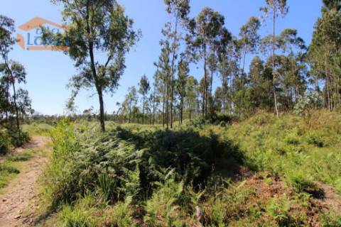 Terreno Industrial com 5.368 m2 para a construção de armazém
