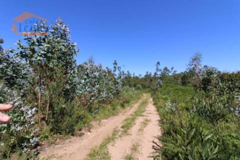 Terreno Industrial com 5.368 m2 para a construção de armazém