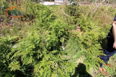 Terreno Industrial com 5.368 m2 para a construção de armazém