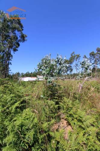Terreno Industrial com 5.368 m2 para a construção de armazém