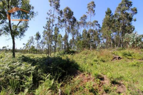 Terreno Industrial com 5.368 m2 para a construção de armazém