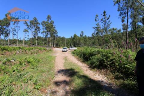Terreno Industrial com 5.368 m2 para a construção de armazém