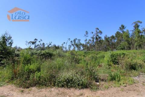 Terreno Industrial com 5.368 m2 para a construção de armazém