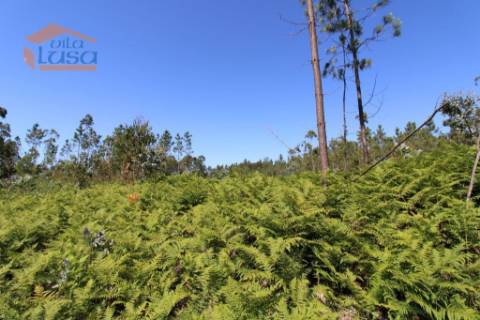Terreno Industrial com 5.368 m2 para a construção de armazém