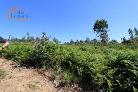 Terreno Industrial com 5.368 m2 para a construção de armazém