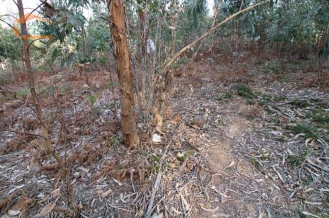Terreno com 4.400 m2 à venda no Olival, Vila Nova de Gaia