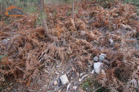 Terreno com 4.400 m2 à venda no Olival, Vila Nova de Gaia