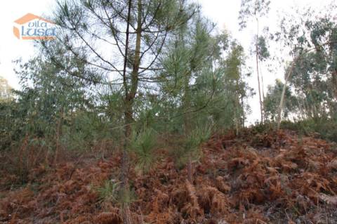 Terreno com 4.400 m2 à venda no Olival, Vila Nova de Gaia