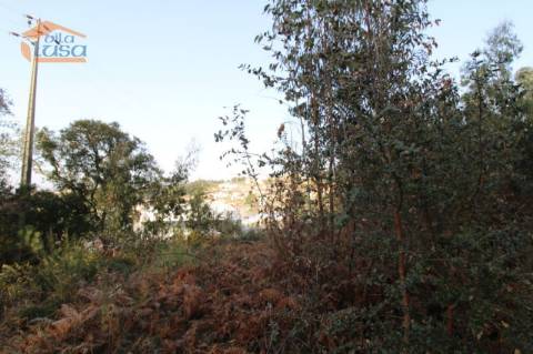 Terreno com 4.400 m2 à venda no Olival, Vila Nova de Gaia