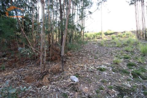 Terreno com 4.400 m2 à venda no Olival, Vila Nova de Gaia