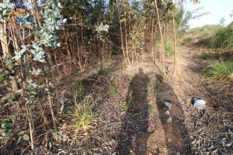 Terreno com 4.400 m2 à venda no Olival, Vila Nova de Gaia