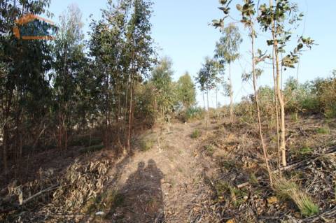 Terreno com 4.400 m2 à venda no Olival, Vila Nova de Gaia