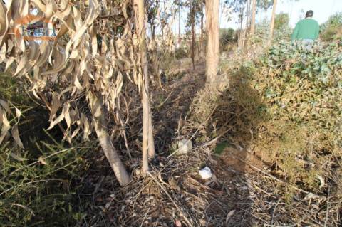 Terreno com 4.400 m2 à venda no Olival, Vila Nova de Gaia