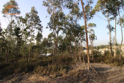 Terreno com 4.400 m2 à venda no Olival, Vila Nova de Gaia