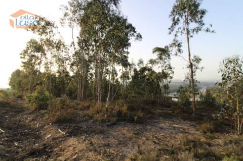 Terreno com 4.400 m2 à venda no Olival, Vila Nova de Gaia