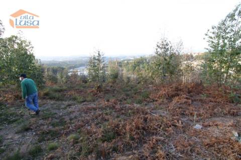 Terreno com 4.400 m2 à venda no Olival, Vila Nova de Gaia