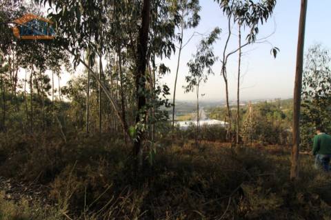Terreno com 4.400 m2 à venda no Olival, Vila Nova de Gaia