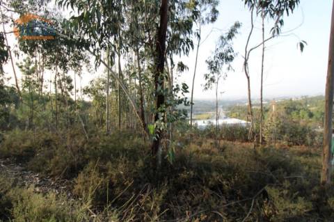 Terreno com 4.400 m2 à venda no Olival, Vila Nova de Gaia