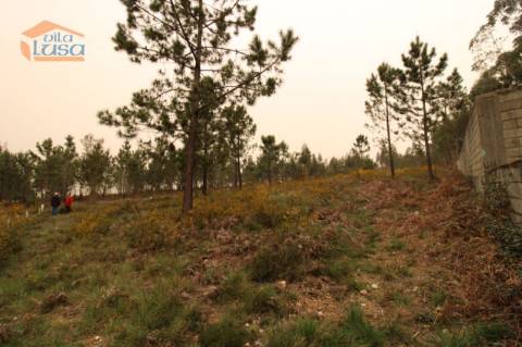 Terreno Olival com 11280 m2 Face a En 222 com 124 metros de Frente