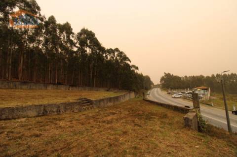 Terreno Olival com 11280 m2 Face a En 222 com 124 metros de Frente