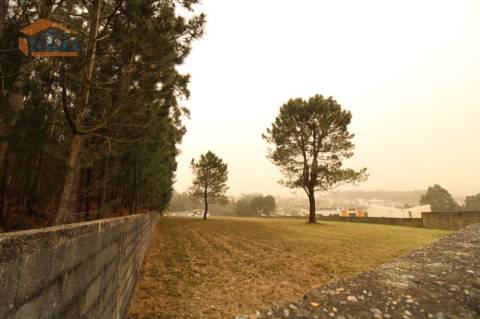 Terreno Olival com 11280 m2 Face a En 222 com 124 metros de Frente