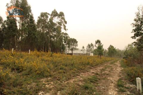 Terreno Olival com 11280 m2 Face a En 222 com 124 metros de Frente