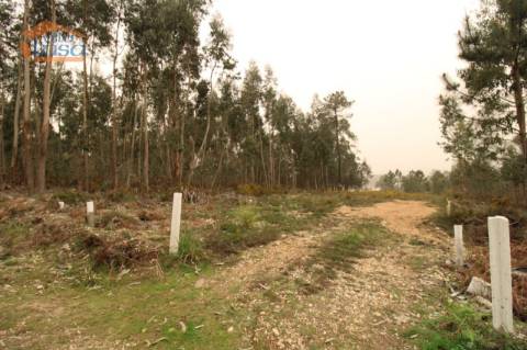 Terreno Olival com 11280 m2 Face a En 222 com 124 metros de Frente