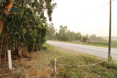 Terreno Olival com 11280 m2 Face a En 222 com 124 metros de Frente