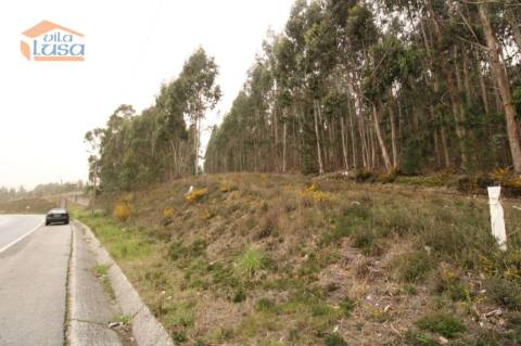 Terreno Olival com 11280 m2 Face a En 222 com 124 metros de Frente