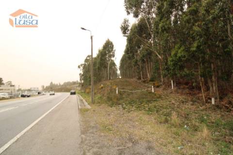 Terreno Olival com 11280 m2 Face a En 222 com 124 metros de Frente