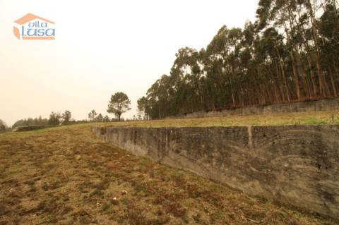 Terreno Olival com 11280 m2 Face a En 222 com 124 metros de Frente