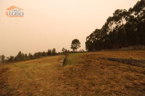 Terreno Olival com 11280 m2 Face a En 222 com 124 metros de Frente