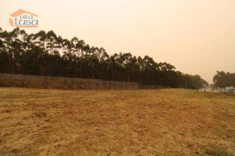 Terreno Olival com 11280 m2 Face a En 222 com 124 metros de Frente