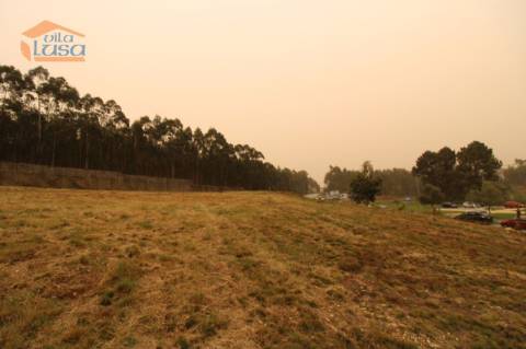 Terreno Olival com 11280 m2 Face a En 222 com 124 metros de Frente