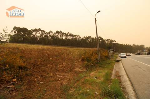 Terreno Olival com 11280 m2 Face a En 222 com 124 metros de Frente