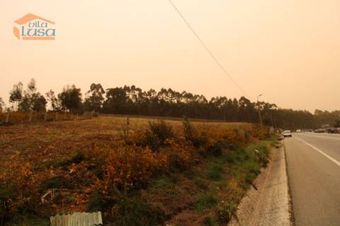 Terreno Olival com 11280 m2 Face a En 222 com 124 metros de Frente