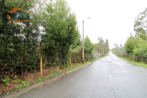 Terreno em Rio Meão Zona Industrial com 4.520,00 m2  