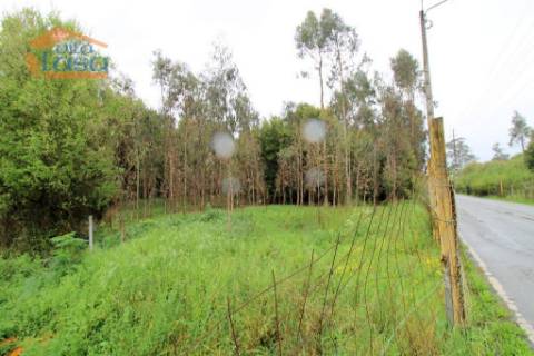 Terreno em Rio Meão Zona Industrial com 4.520,00 m2  