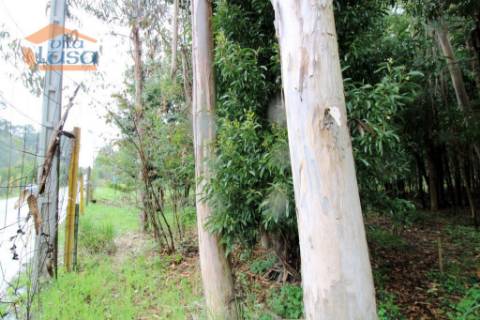 Terreno em Rio Meão Zona Industrial com 4.520,00 m2  