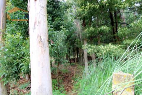 Terreno em Rio Meão Zona Industrial com 4.520,00 m2  