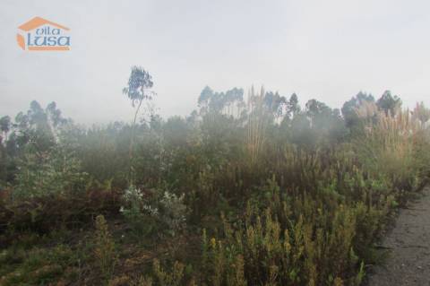 Terreno florestal , Pedroso com 3.682 m2 fáceis acessos 