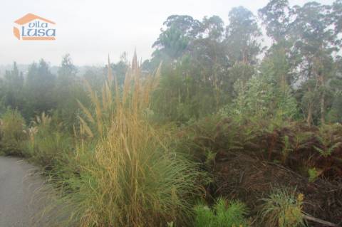 Terreno florestal , Pedroso com 3.682 m2 fáceis acessos 