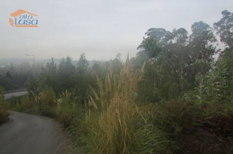 Terreno florestal , Pedroso com 3.682 m2 fáceis acessos 