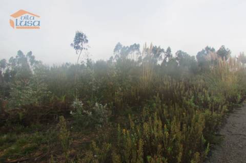 Terreno florestal , Pedroso com 3.682 m2 fáceis acessos 