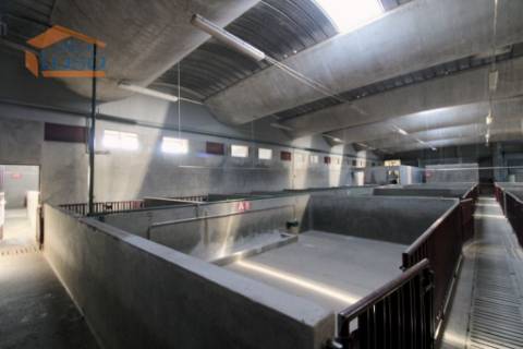 Matadouro Industrial no distrito de Coimbra equipado Pronto a laborar