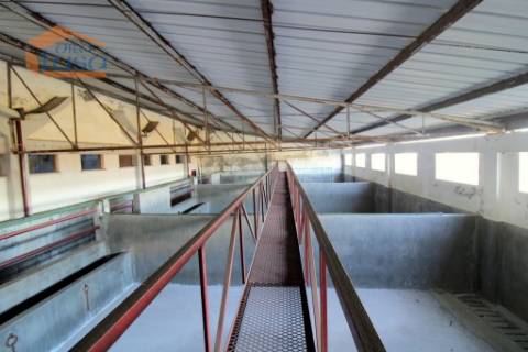 Matadouro Industrial no distrito de Coimbra equipado Pronto a laborar