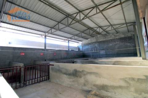 Matadouro Industrial no distrito de Coimbra equipado Pronto a laborar